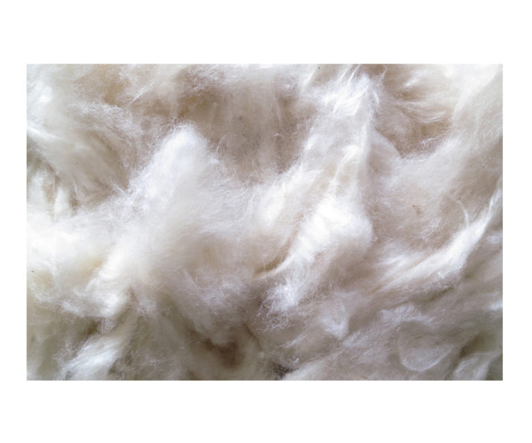 Vulwatten van 100% kapok watten, beige, 10 kg, zeer fijn, (EUR 11,90/kg), composteerbaar, wasbaar, knutselwatten, geschikt als natuurlijk en duurzaam vulmateriaal voor bijvoorbeeld knuffeldieren, poppen, beren, kussens enz Vulwatten van 100% kapok watten, beige, 10 kg, zeer fijn, (EUR 11,90/kg), composteerbaar, wasbaar, knutselwatten, geschikt als natuurlijk en duurzaam vulmateriaal voor bijvoorbeeld knuffeldieren, poppen, beren, kussens enz